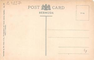 B4857 Oteanders Bermuda  front/back scan