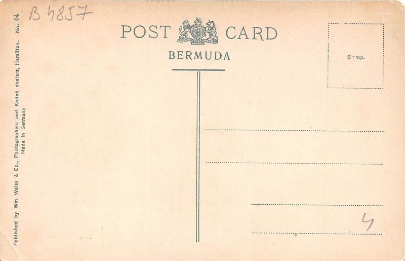 B4857 Oteanders Bermuda  front/back scan