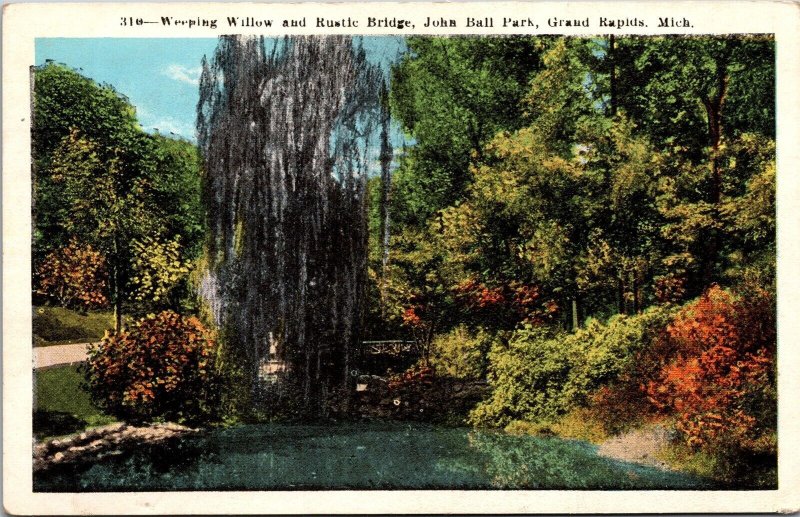Vtg Grand Rapids MI Weeping Willow & Rustic Bridge John Ball Park 1920s Postcard
