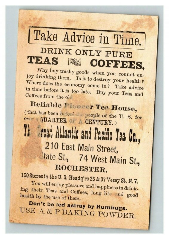 Vintage 1880's Victorian Trade Card - Great Atlantic & Pacific Tea Co. Rochester
