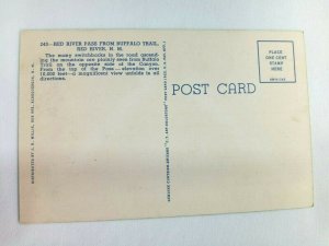 Vintage Postcard Red River Pass from Buffalo Trail Red River NM 