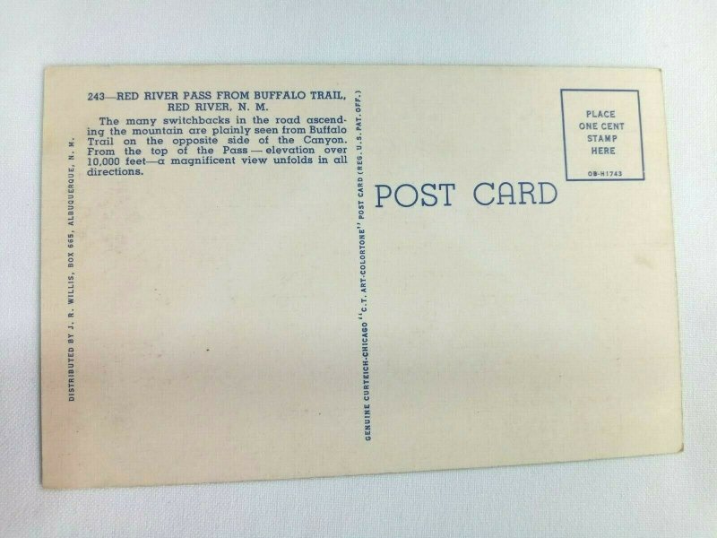 Vintage Postcard Red River Pass from Buffalo Trail Red River NM 