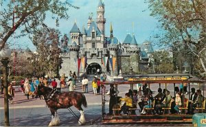 Postcard California Anaheim Disneyland Sleeping Beauty Castle amusement 23-7224