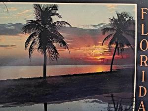 Postcard Beautiful Florida Morning Sunrise on the Bay.   4 x 6     X9