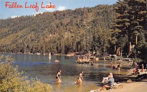 FALLEN LEAF LAKE Beach Scene Lake Tahoe, California-Nevada 1964 Vintage Postcard 