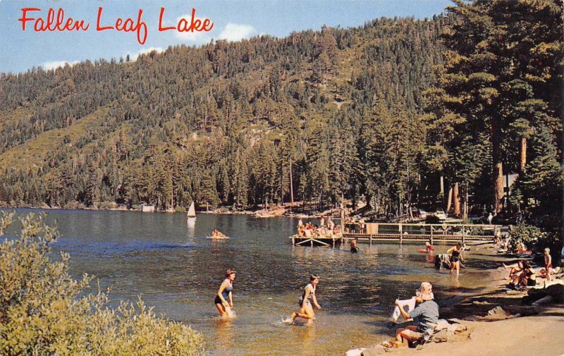 FALLEN LEAF LAKE Beach Scene Lake Tahoe, California-Nevada 1964 Vintage Postcard