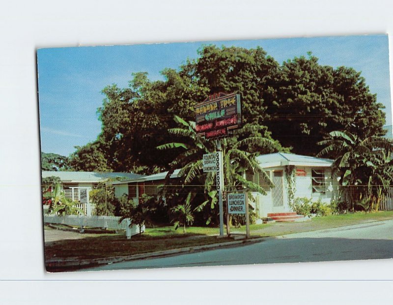 M-211499 Banana Tree Grille Key West Florida