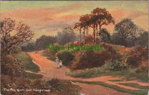 London Postcard - Hampstead, Camden - The Firs, North End RS31609