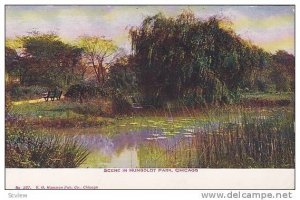 Scene in Humboldt Park, Chicago, Illinois,  PU-1910