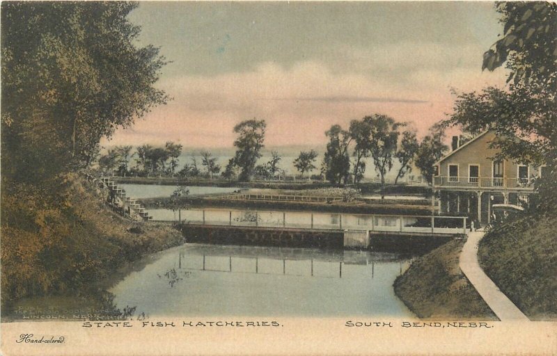 Postcard C-1910 Nebraska South Bend State Fish Hatcheries hand colored NE24-2183