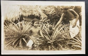 Mint Samoa Real Picture Postcard RPPC Pineapples Plantations