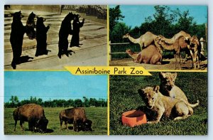 Winnipeg Manitoba Canada Postcard Assiniboine Park Multiview Animals c1950's