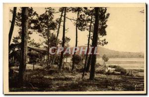 Old Postcard Hossegor Great Dune