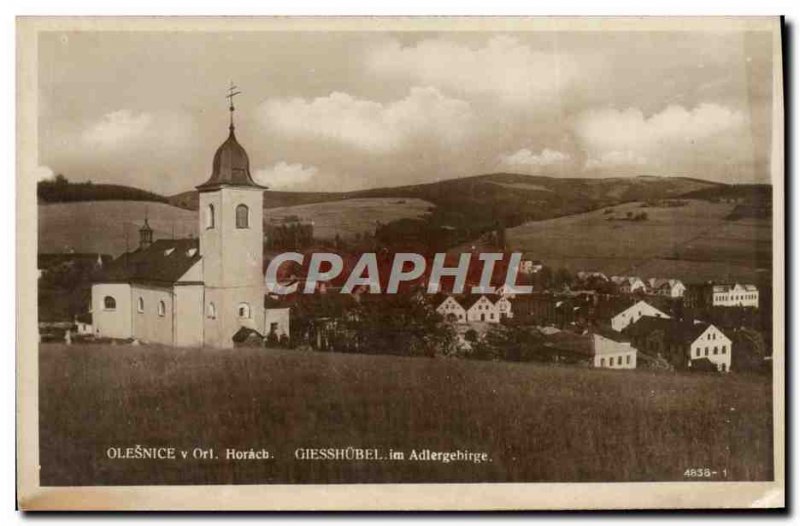 Old Postcard Olesnice Horacb Giesshobel Adlergebrige