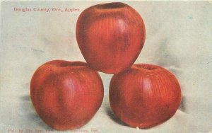 Apples Artist impression C-1910 Farm Agriculture Douglas Oregon Postcard 7811