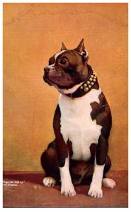 Dog     English Bull terrier artist signed M.T.Sheanan