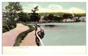 Early 1900s Scene at Naples, Maine Postcard