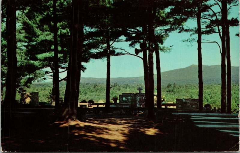 Cathedral Pines Rindge NH New Hampshire Mountains Cliff Trees Postcard UNP VTG 