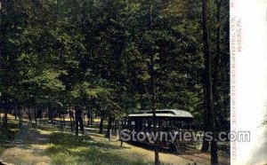 Terminus of Mountain R.R. - Reading, Pennsylvania