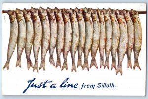 England Postcard Hanged Fish Just a Line from Silloth 1911 Oilette Tuck Art