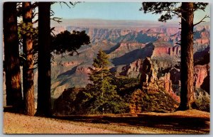 Vtg Arizona AZ Point Imperial Grand Canyon National Park 1960s View Postcard