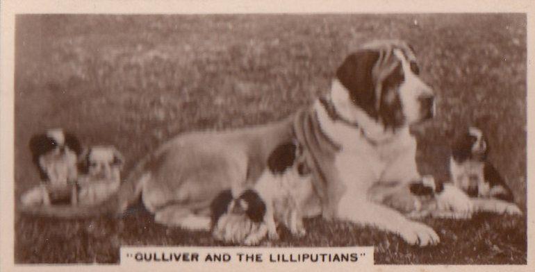 Gulliver & The Lilliputlians Dog Antique German Real Photo Cigarette Card