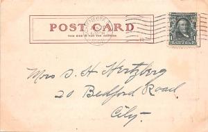 Bear Post Card Old Vintage Antique 1908
