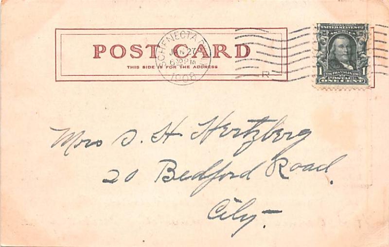Bear Post Card Old Vintage Antique 1908