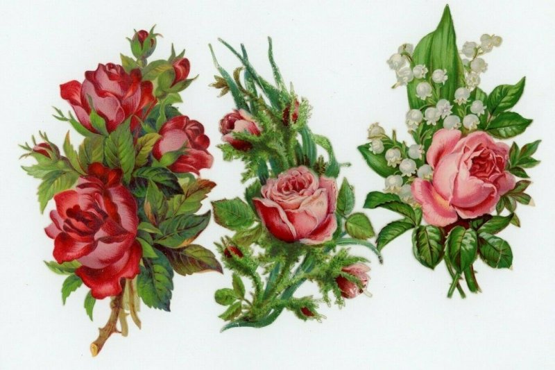 Victorian Die-Cuts 1870's-90's Floral Flowers Lot Of 16 Fab! X41