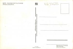 BG27672 racimo de platanos gran canaria    spain