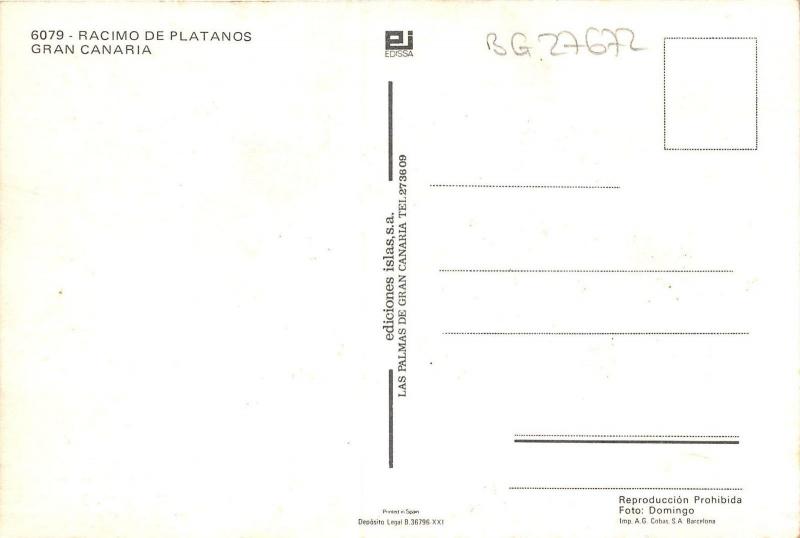 BG27672 racimo de platanos gran canaria    spain