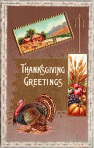 Postcard~Thanksgiving Greeting~Farm Scene~Tom Turkey~Pumpkin California J27