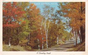 A Country Road at Lake Linden MI, Michigan