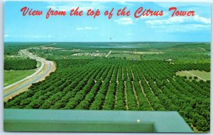 M-56964 View of Orange Groves, Lakes, and Hills from Citrus Tower, Clermont, ...