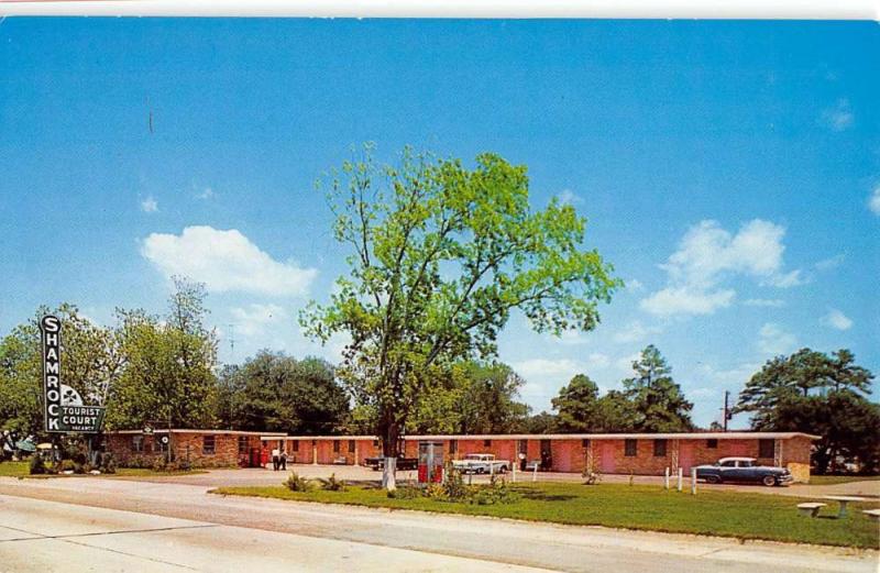 Pascagoula Mississippi Shamrock Tourist Court Vintage Postcard K38891 