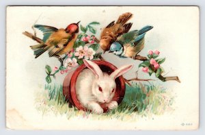 Bunny Rabbit and Birds, Central Drug Company, Victorian Trade Card