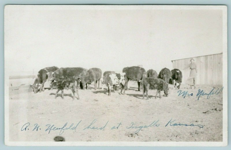 Ingalls Kansas~AN Neufeld Cattle Herd~Mrs by the Cows~Farm Barn~c1918 RPPC 