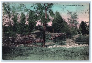 c1910 Typical Country Road Side Forest Grass Fitzwilliam New Hampshire Postcard