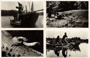 FRENCH GUINEA GUINEE 10 REPTILES CROCODILES Vintage Photo Postcards 1940 (L4210)