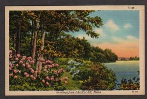 ME Greetings from JACKMAN MAINE Postcard Linen PC