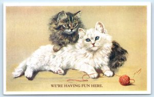 MABEL GEAR Artist Signed FLUFFY KITTENS We're Having Fun Here Cat Postcard
