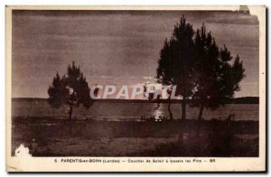 Old Postcard Parentis Sunset through the Pines