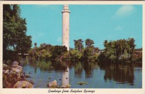 Florida Tampa Sulphur Springs Water Tower