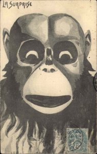 Monkey Unusual Art Social Commentary? LA SURPRISE Stamp on Front c1910 Postcard