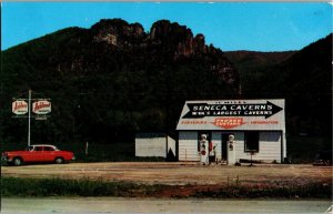 Seneca Rocks Souvenir Shop, Seneca WV Bas Pump, Sign on Roof Vtg Postcard O30