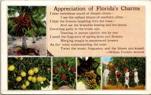 Florida Appreciation Of Florida's Charms By William Farnklin Atwood