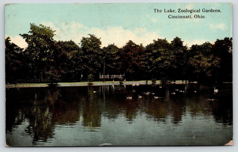 Cincinnati Ohio~Zoological Gardens~Lake~c1910 Postcard