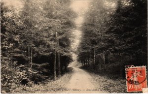 CPA Thizy - Bourg de Thizy - Sous-Bois a la Foret (1036370)