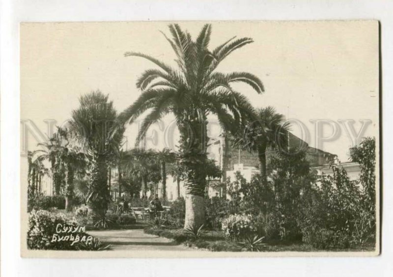 3148301 Abkhazia SUKHUMI Boulevard Vintage photo postcard