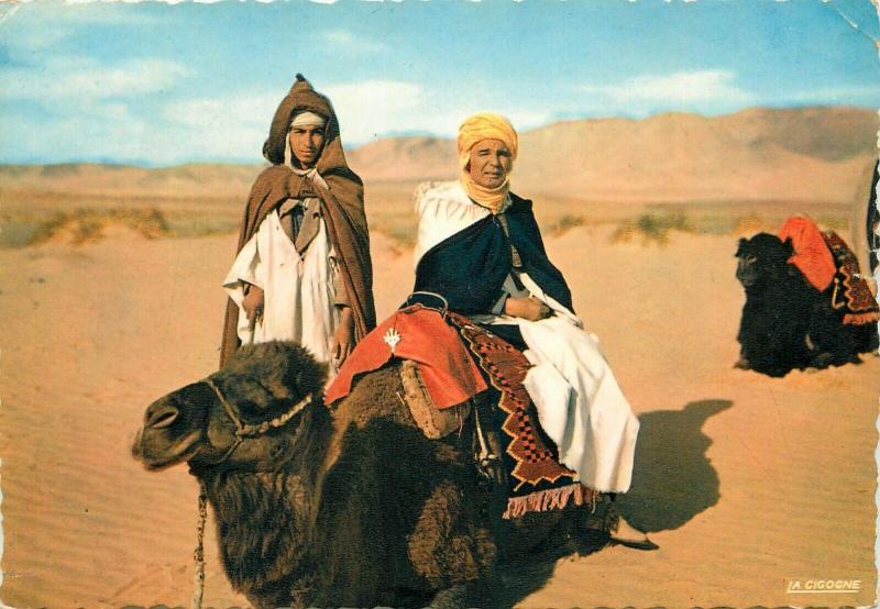 Tunisian ethnic types camel